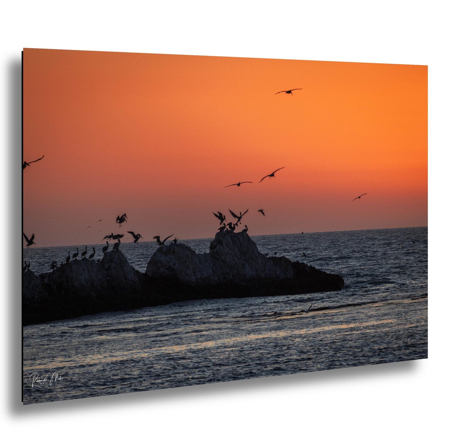 Half Moon Bay Sunset Print: Pelican Silhouettes, Pacific Ocean Art