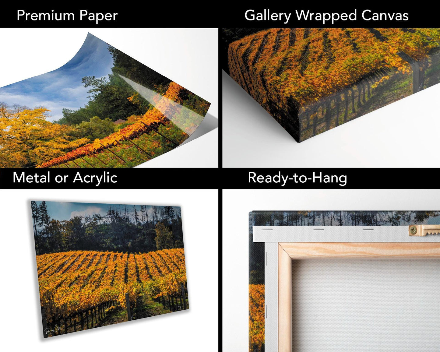 Napa Valley Vineyard Print: California Winery Fine Art Photography