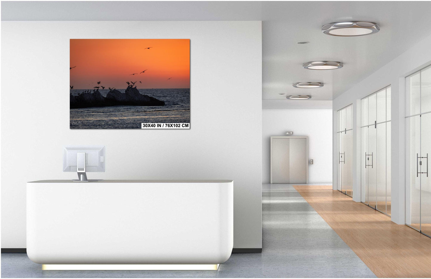 Half Moon Bay Sunset Print: Pelican Silhouettes, Pacific Ocean Art