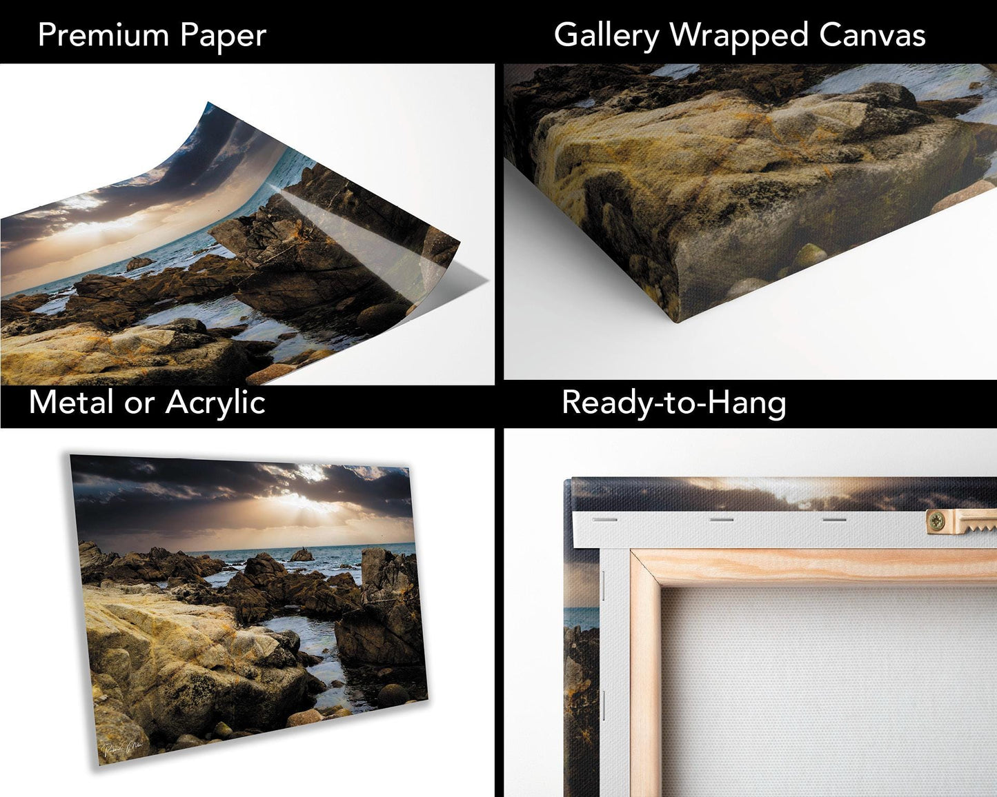 Pacific Grove Tidepools Photography: California Coast Wall Art