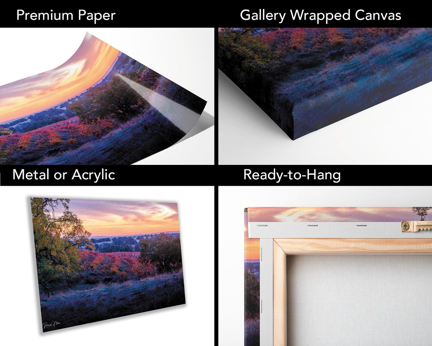 California Vineyard Sunset Print: Amador County Fine Art Photography