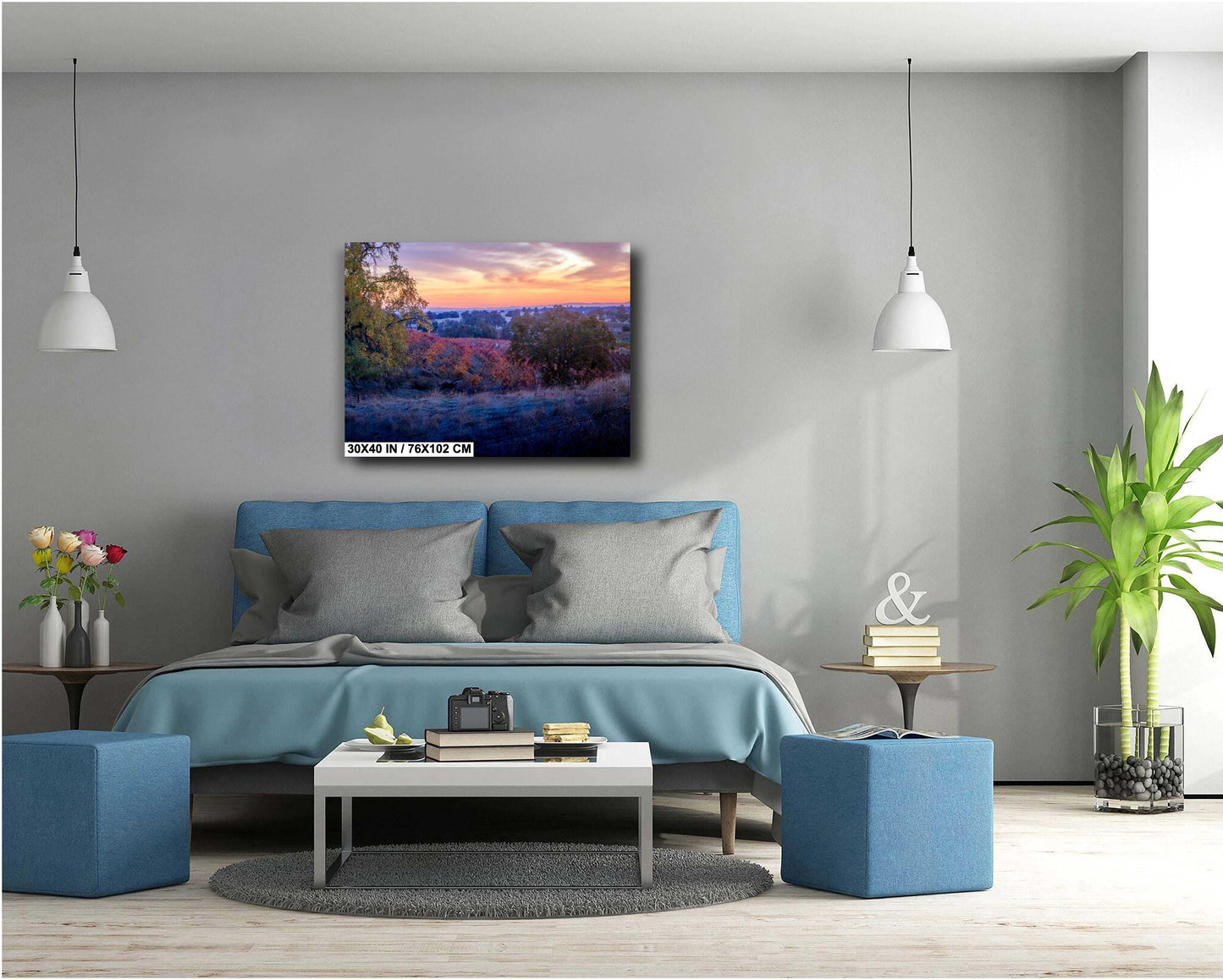 California Vineyard Sunset Print: Amador County Fine Art Photography