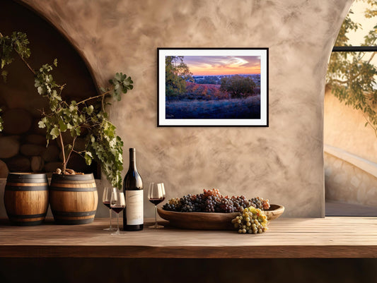 California Vineyard Sunset Print: Amador County Fine Art Photography