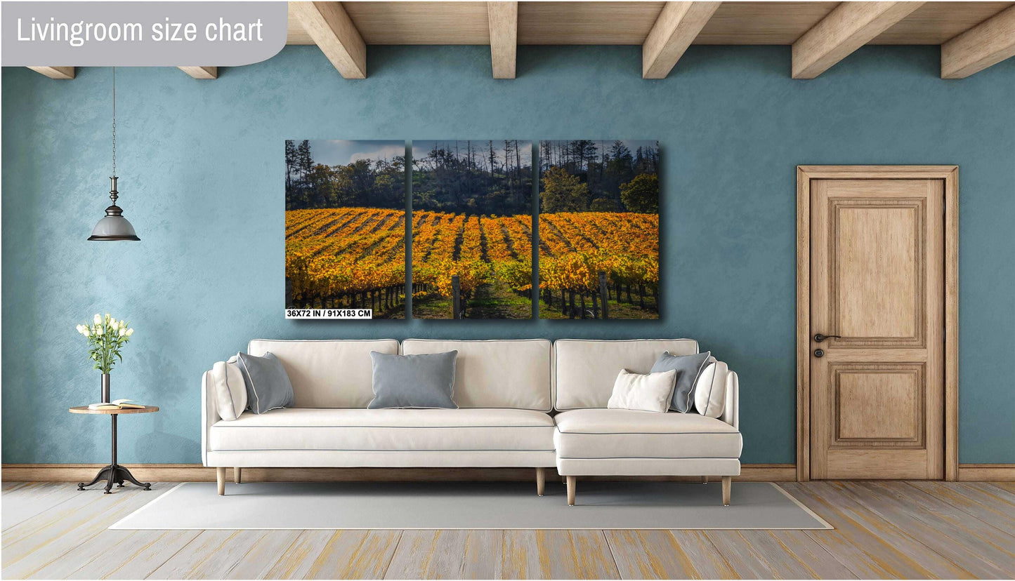 Napa Valley Vineyard Print: Autumn Rolling Hills Fine Art Photography