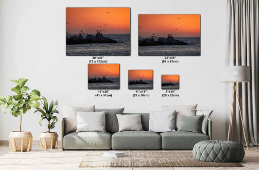 Half Moon Bay Sunset Print: Pelican Silhouettes, Pacific Ocean Art