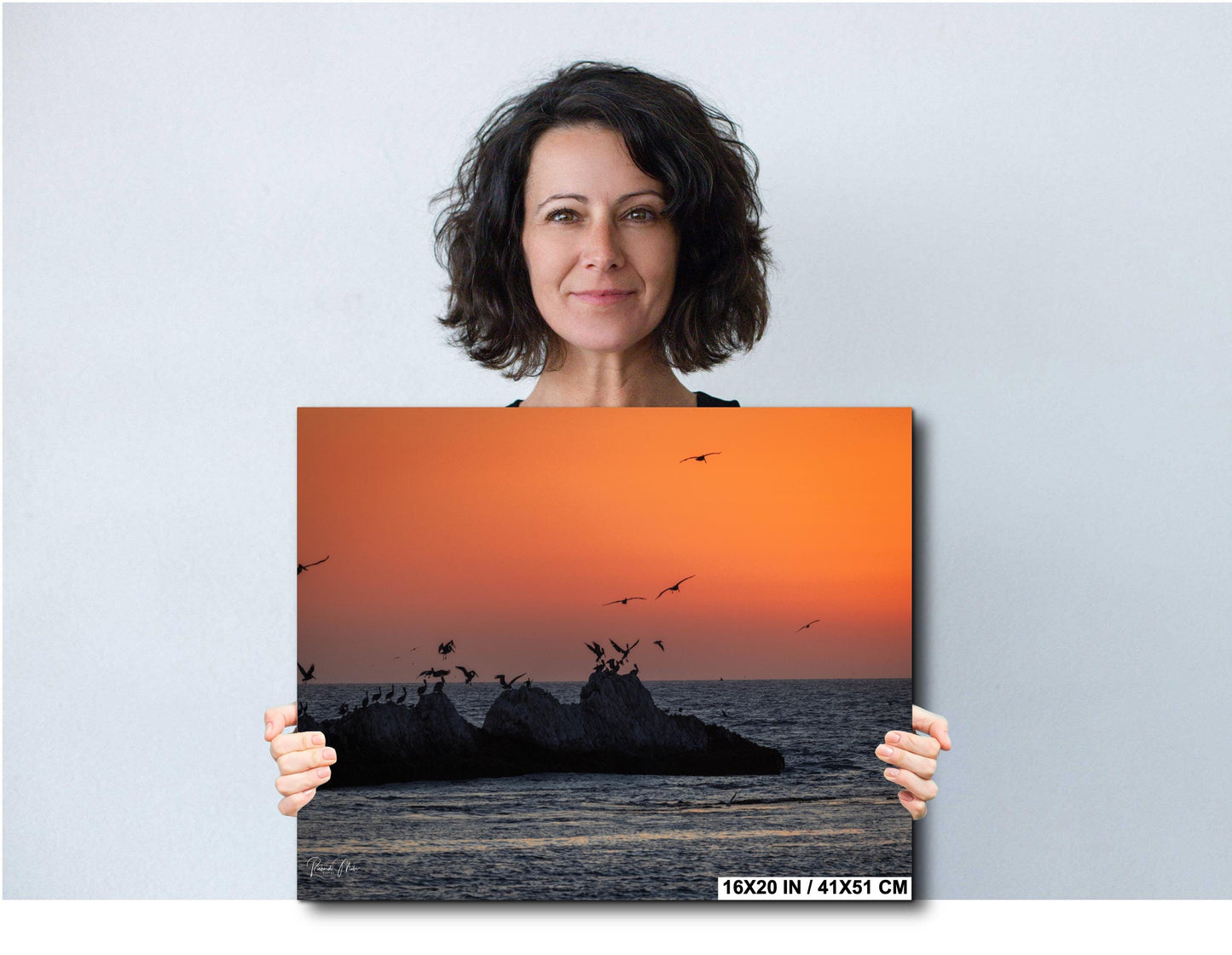 Half Moon Bay Sunset Print: Pelican Silhouettes, Pacific Ocean Art