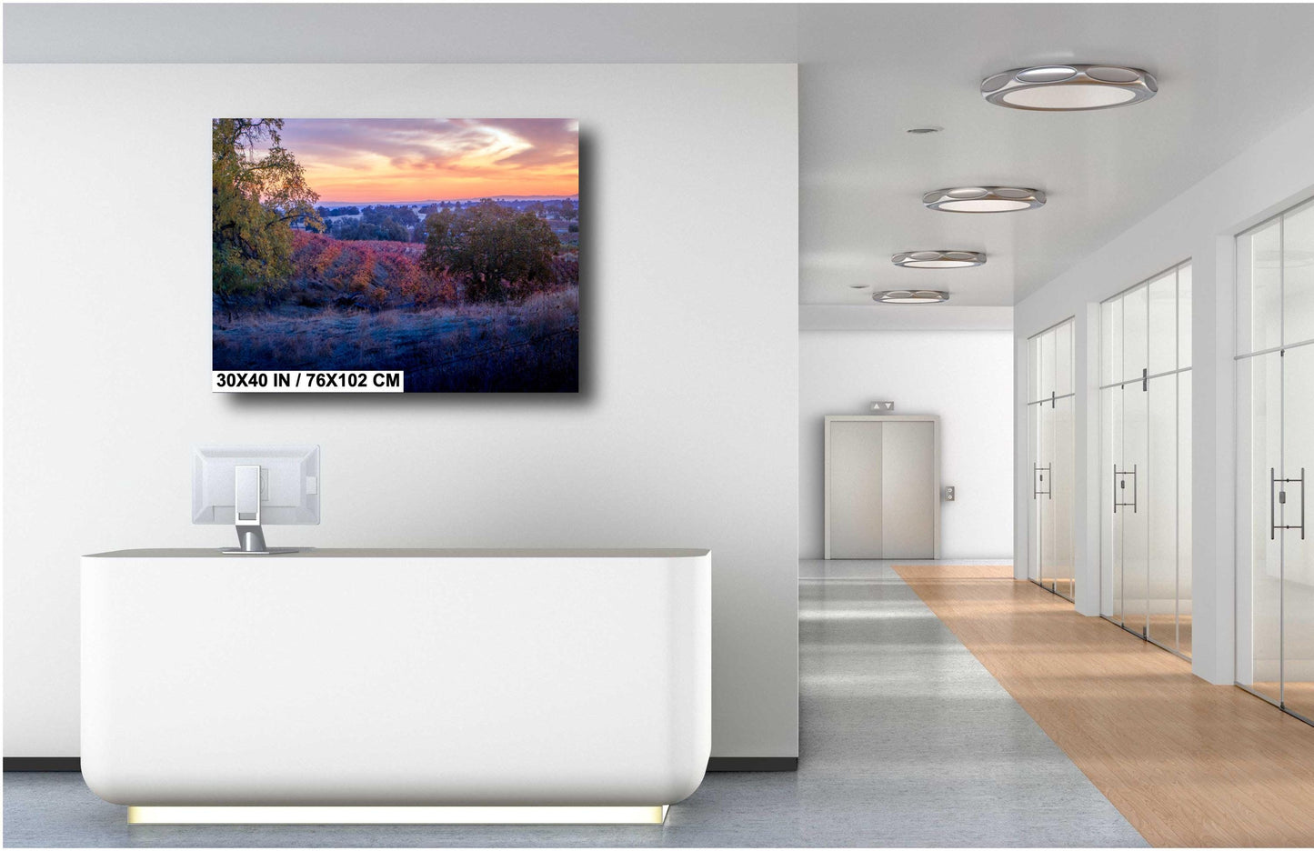 California Vineyard Sunset Print: Amador County Fine Art Photography