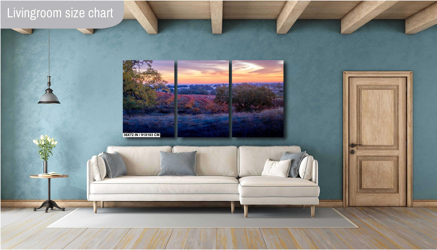 California Vineyard Sunset Print: Amador County Fine Art Photography