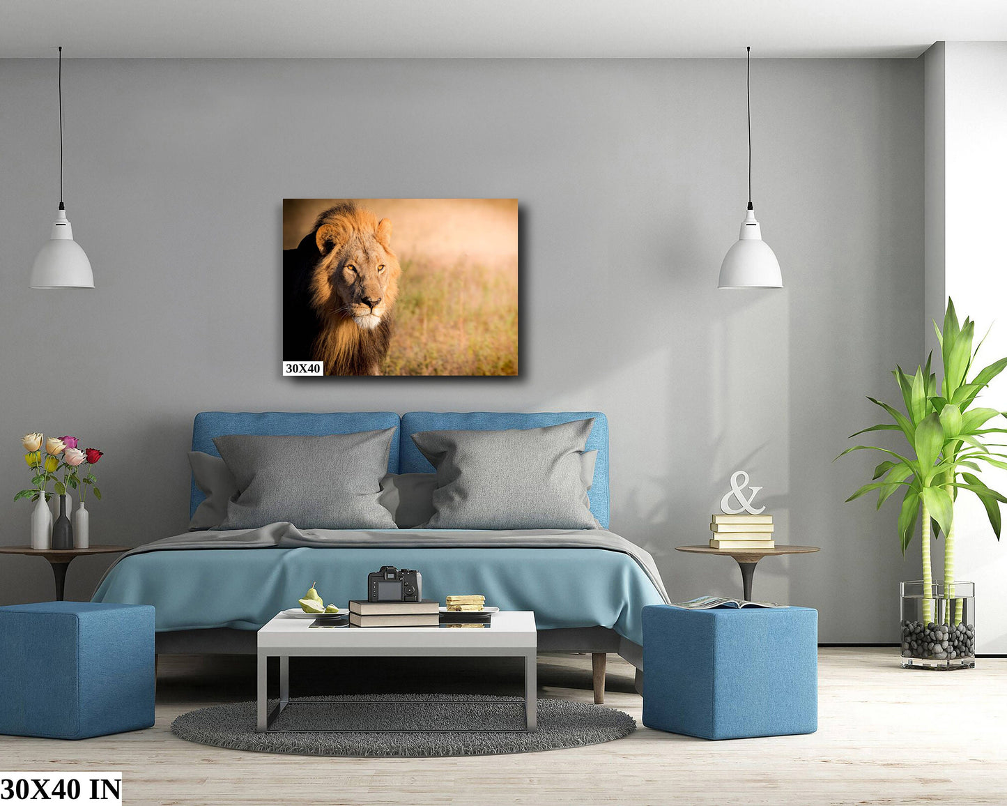 African Lion, Okavango Delta, stunning color lion Wildlife Photography , Lion Poster, Wildlife Wall Art, Fine Art Photography, Travel Photo