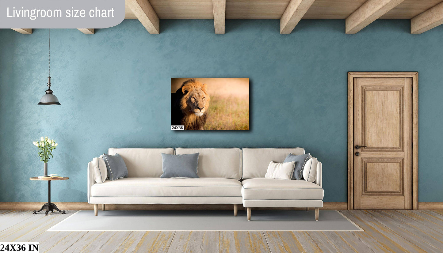African Lion, Okavango Delta, stunning color lion Wildlife Photography , Lion Poster, Wildlife Wall Art, Fine Art Photography, Travel Photo