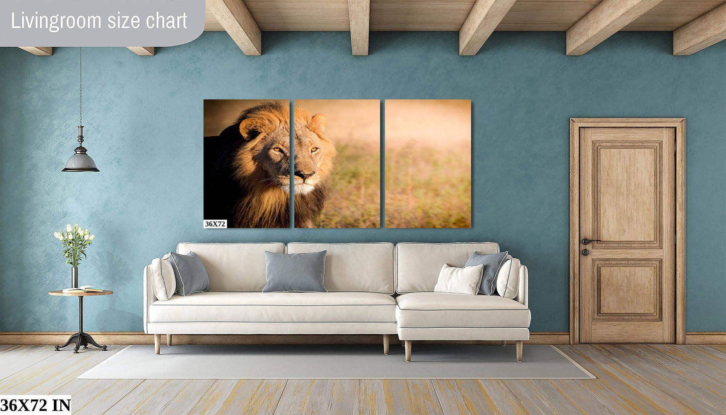 African Lion, Okavango Delta, stunning color lion Wildlife Photography , Lion Poster, Wildlife Wall Art, Fine Art Photography, Travel Photo