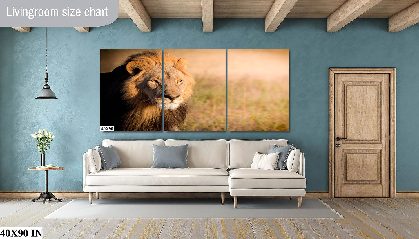 African Lion, Okavango Delta, stunning color lion Wildlife Photography , Lion Poster, Wildlife Wall Art, Fine Art Photography, Travel Photo