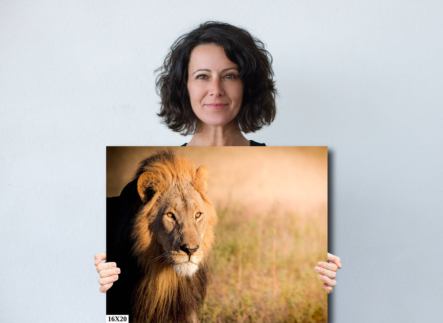 African Lion, Okavango Delta, stunning color lion Wildlife Photography , Lion Poster, Wildlife Wall Art, Fine Art Photography, Travel Photo