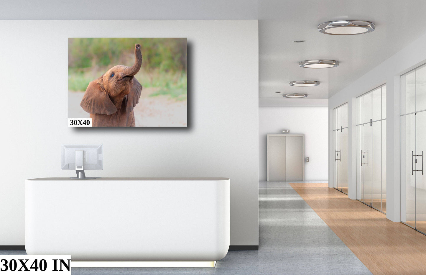 Baby African Elephant Wildlife Photograph, stunning color Animal Photo Print, Nature Wall Art, Canvas Wall Art, Fine Art Photography