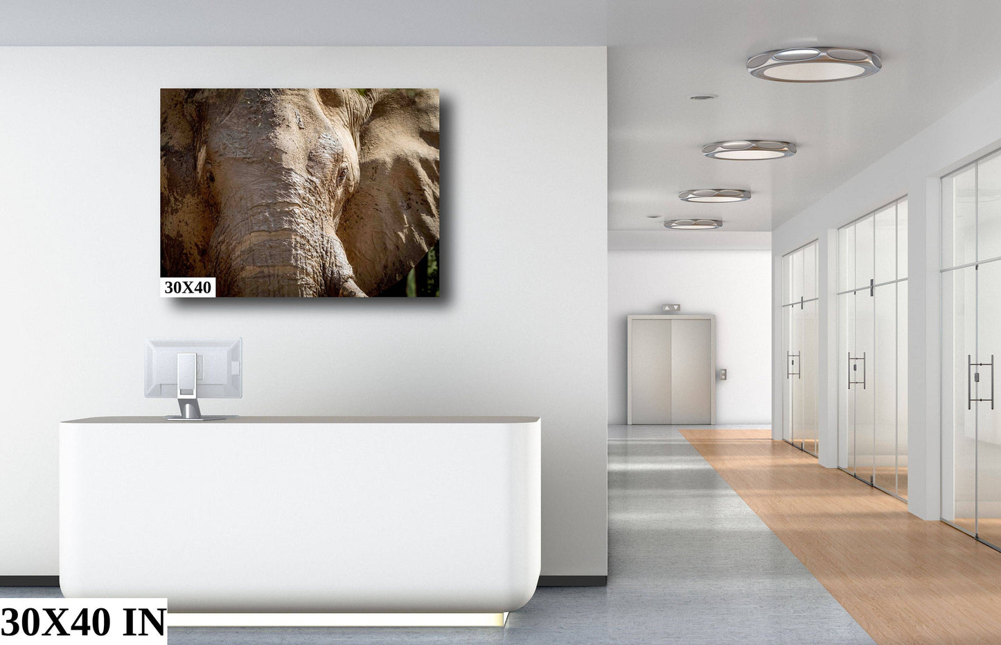 African Elephant, Wildlife Photography, stunning Canvas Animal Poster, Nature Wall Art, Fine Art Photography | home, office decor