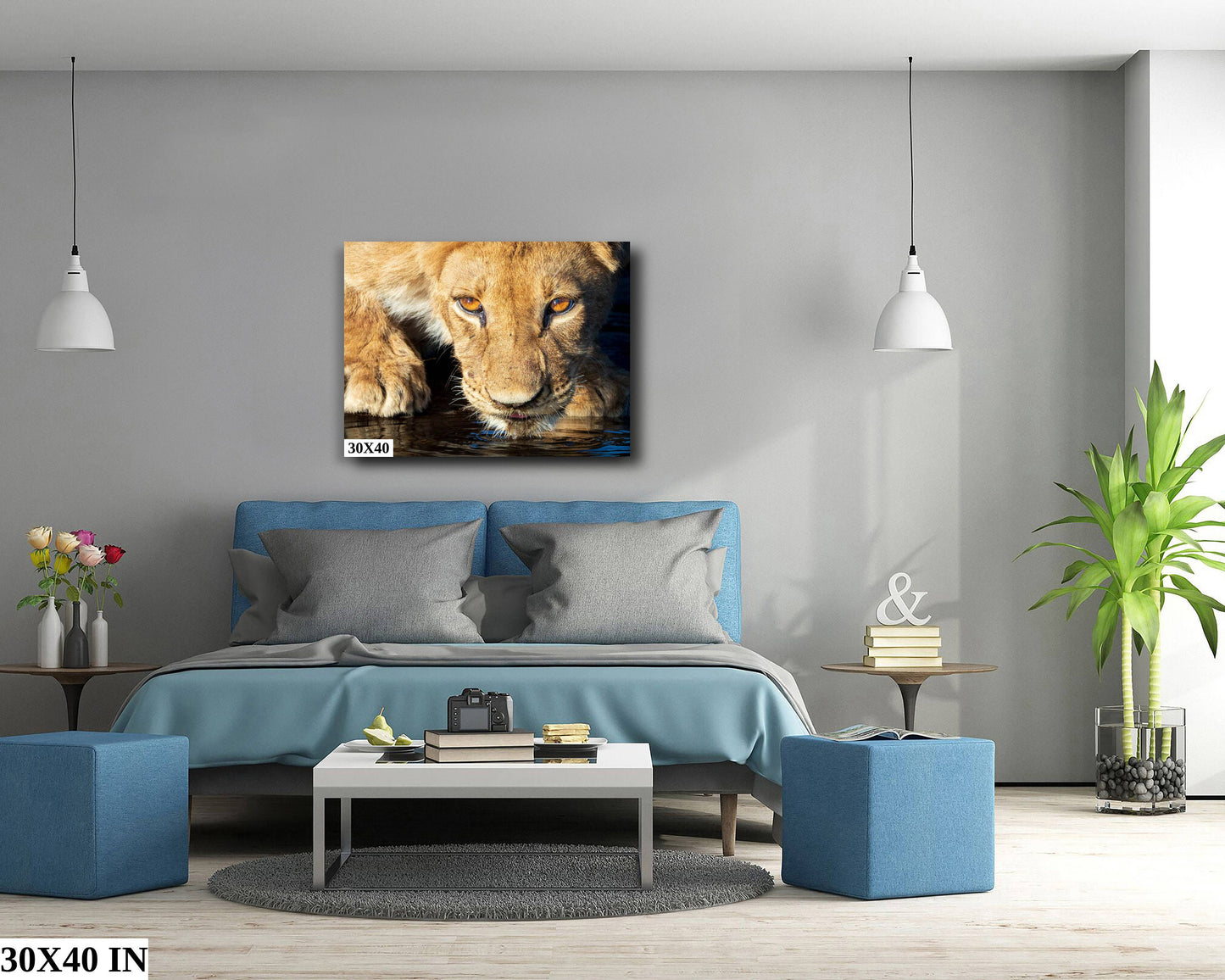 African Lioness, Wildlife Photography, Stunning Color Lion Lion Poster, Wildlife Wall Art, Fine Art Photography, Travel Photo, Waterhole