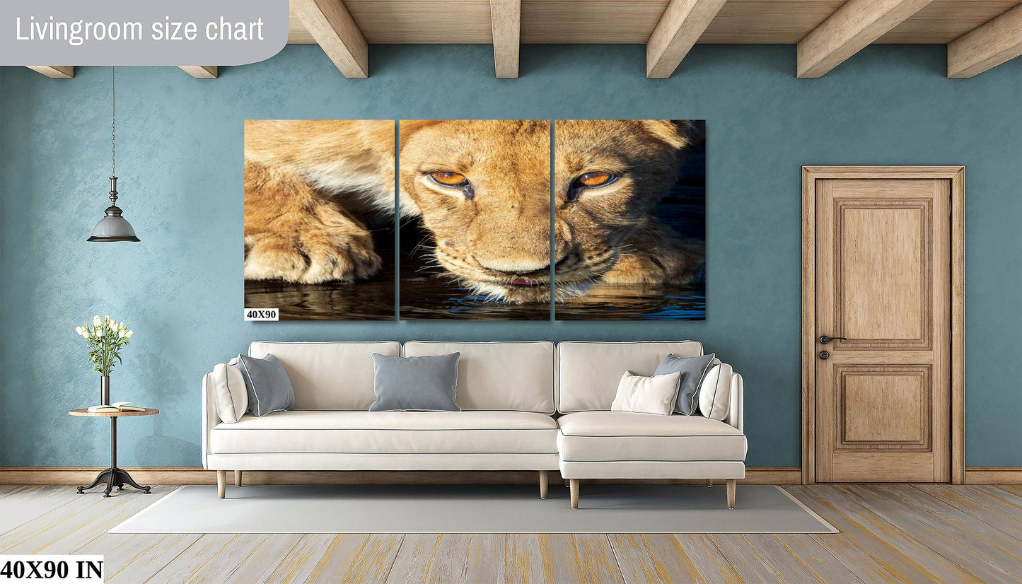 African Lioness, Wildlife Photography, Stunning Color Lion Lion Poster, Wildlife Wall Art, Fine Art Photography, Travel Photo, Waterhole