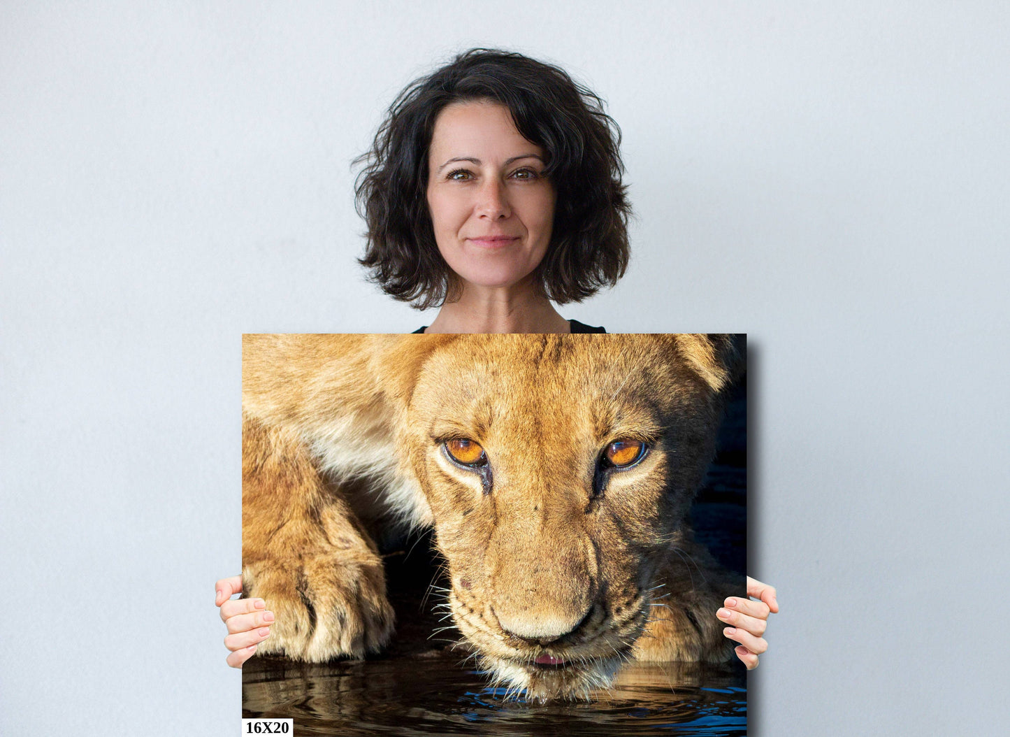African Lioness, Wildlife Photography, Stunning Color Lion Lion Poster, Wildlife Wall Art, Fine Art Photography, Travel Photo, Waterhole