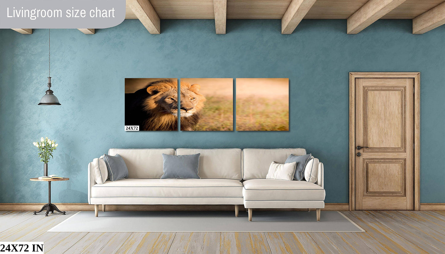 African Lion, Okavango Delta, stunning color lion Wildlife Photography , Lion Poster, Wildlife Wall Art, Fine Art Photography, Travel Photo