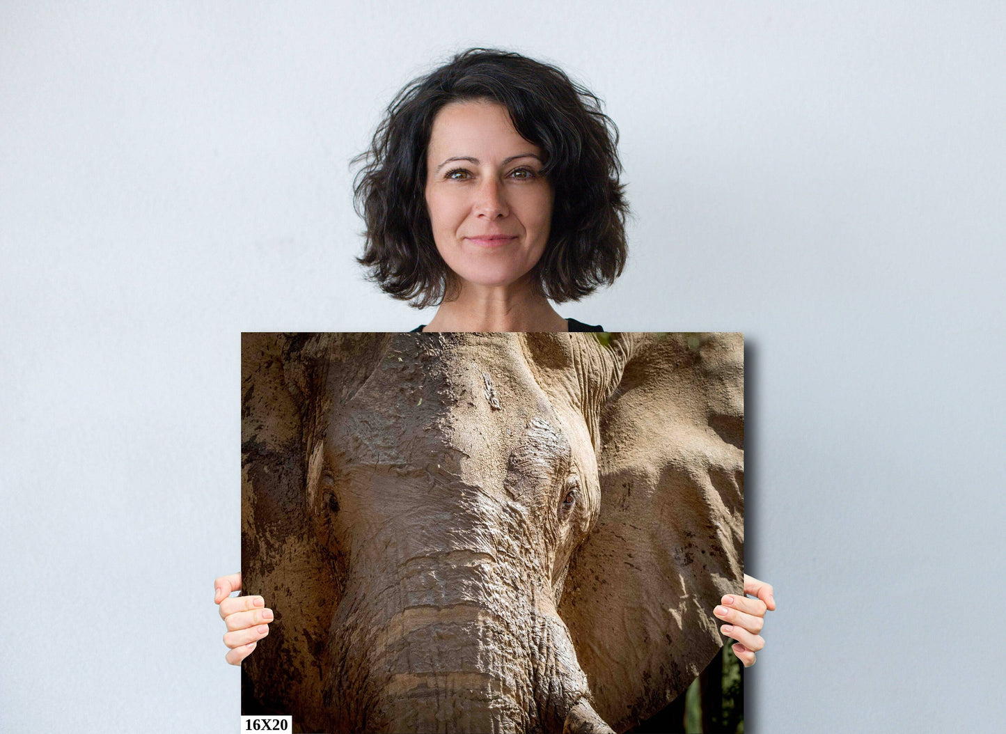 African Elephant, Wildlife Photography, stunning Canvas Animal Poster, Nature Wall Art, Fine Art Photography | home, office decor