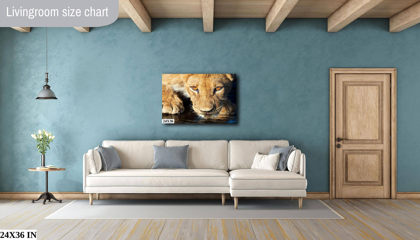 African Lioness, Wildlife Photography, Stunning Color Lion Lion Poster, Wildlife Wall Art, Fine Art Photography, Travel Photo, Waterhole