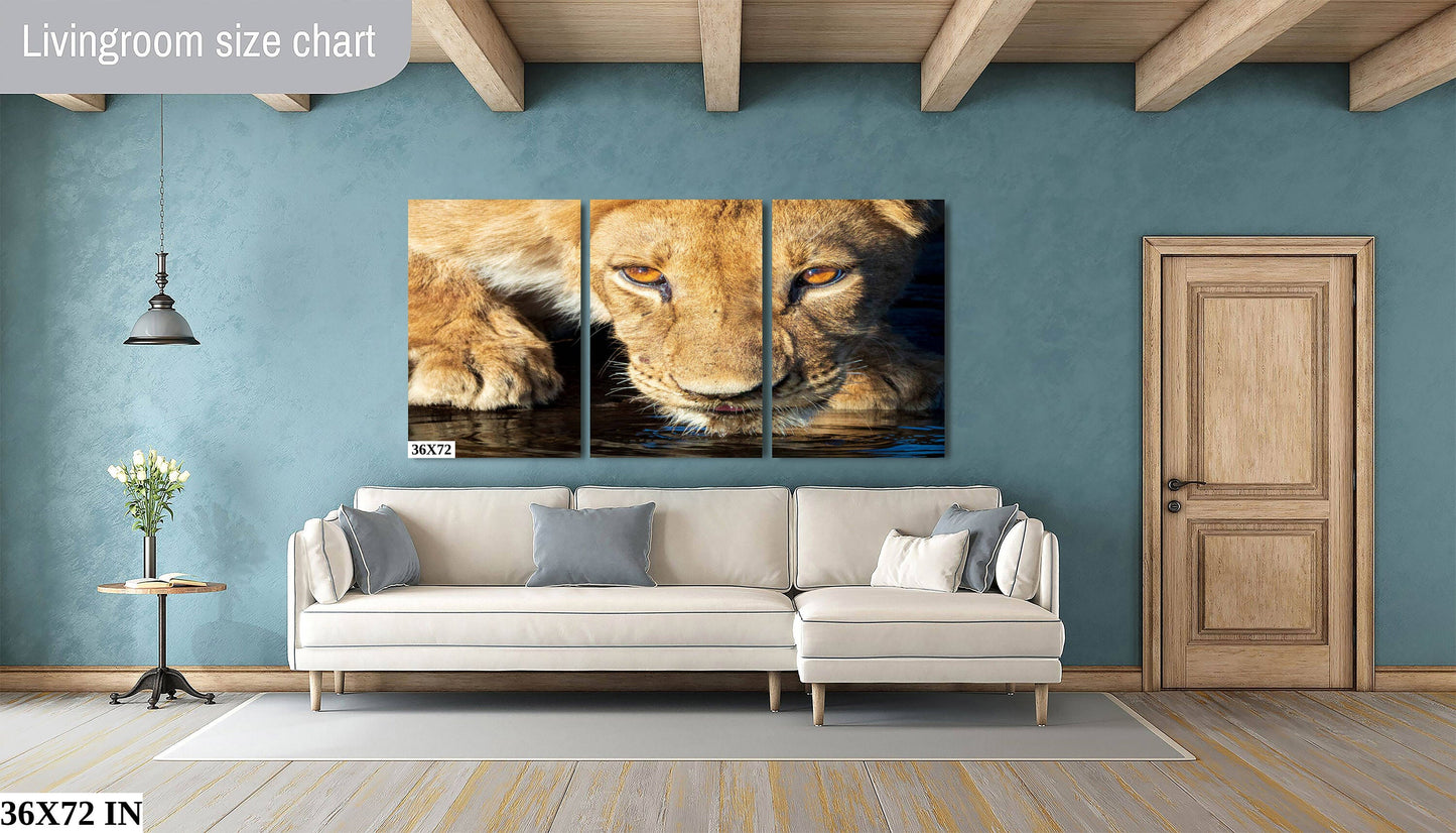 African Lioness, Wildlife Photography, Stunning Color Lion Lion Poster, Wildlife Wall Art, Fine Art Photography, Travel Photo, Waterhole