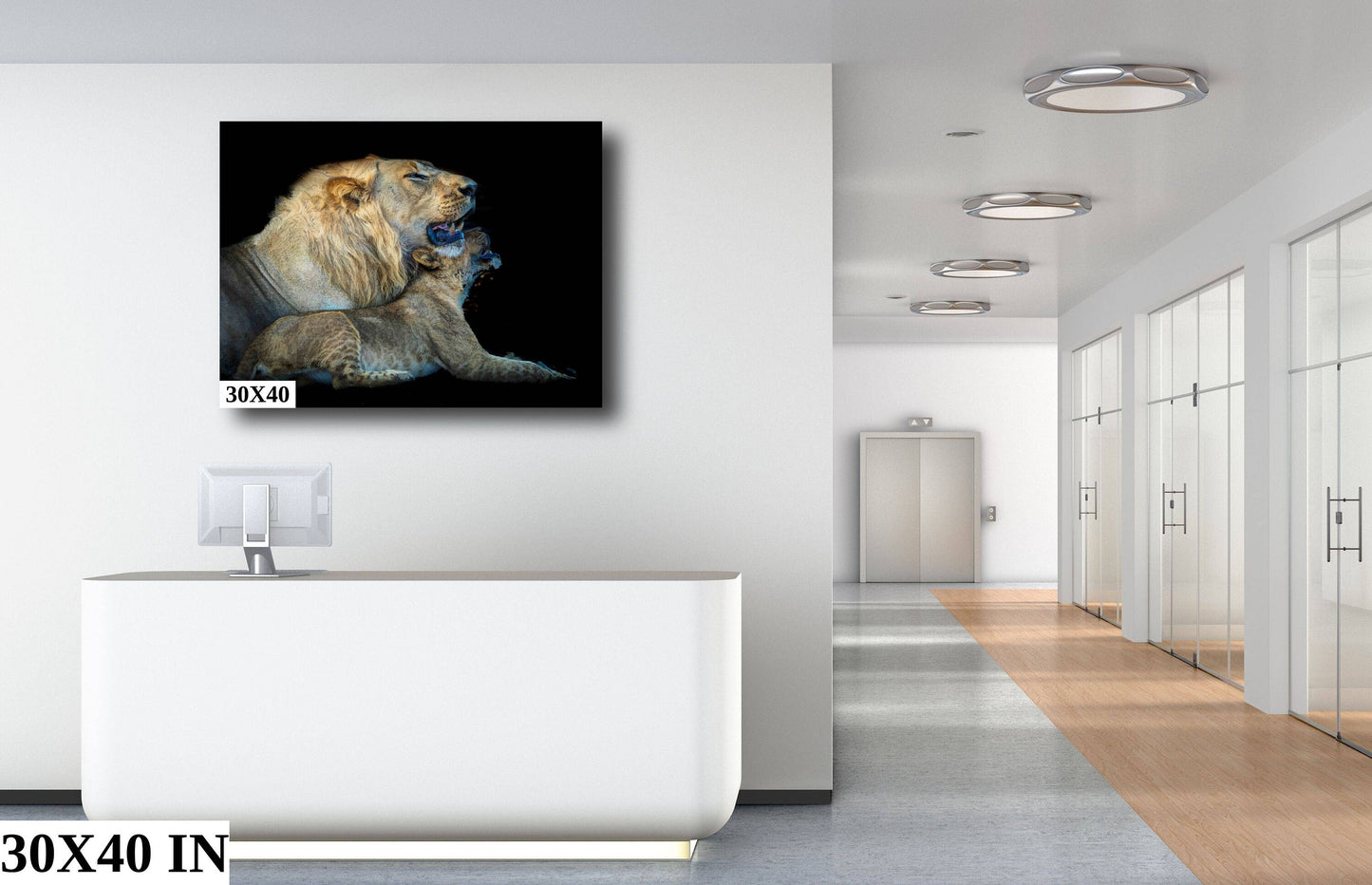 African Lion Wildlife Photography, Nature Canvas Wall Art, Grandfather and grandson lion pair, Fine Art photography, Botswana Travel Poster