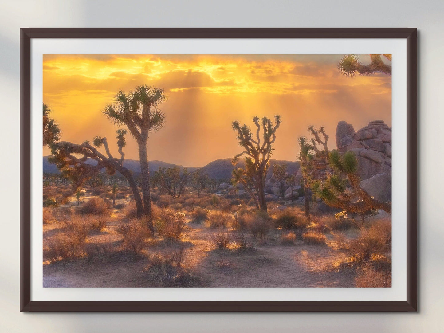 Joshua Tree Sunset Fine Art Photography | Desert Sunset Scenic Poster. Landscape Photo | National Park Nature Canvas Wall Art