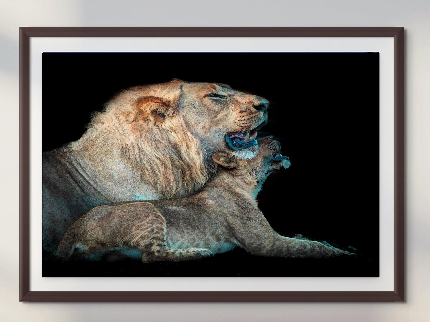 African Lion Wildlife Photography, Nature Canvas Wall Art, Grandfather and grandson lion pair, Fine Art photography, Botswana Travel Poster
