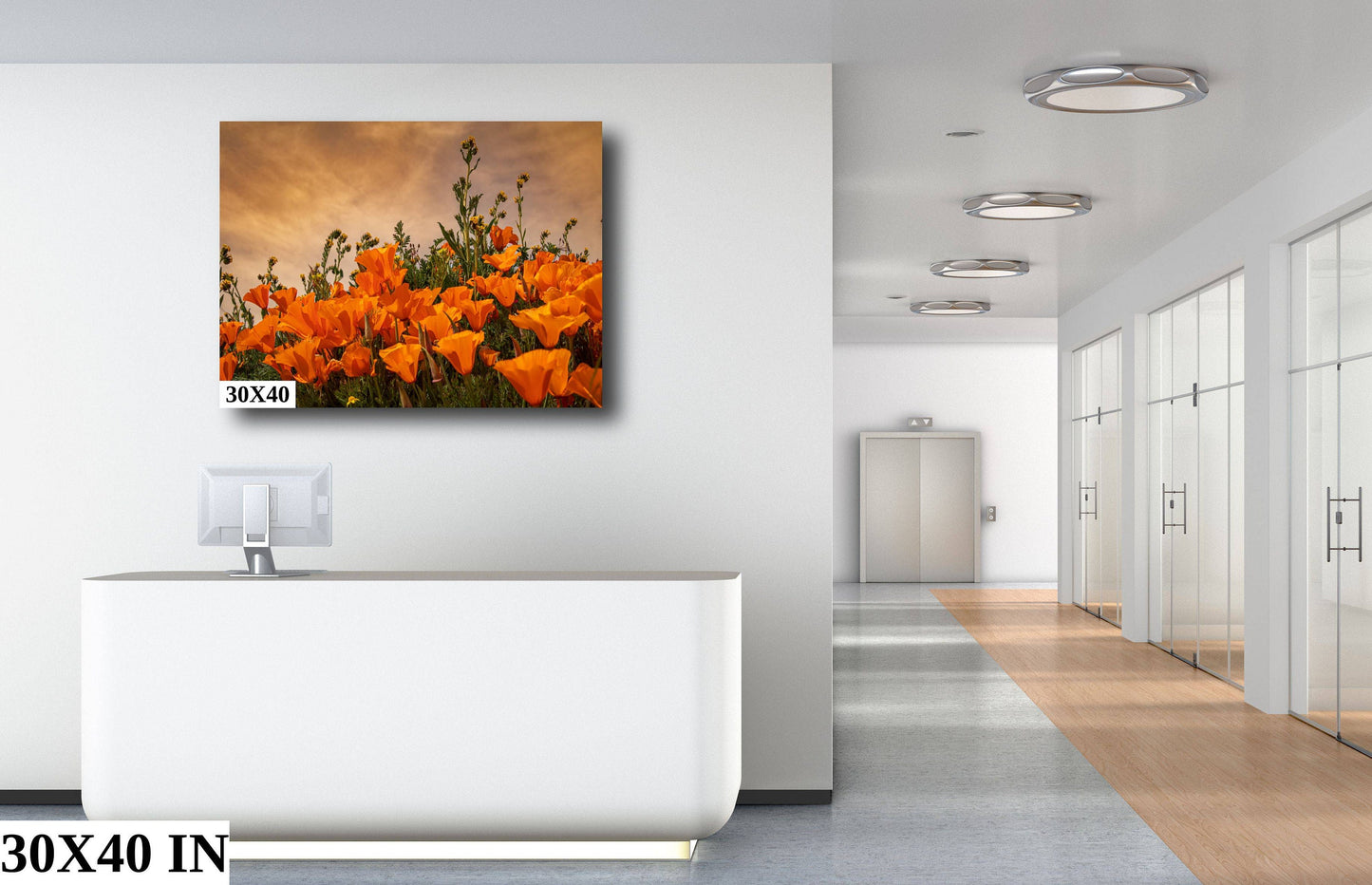 California Poppies Fine Art Photography | Antelope Valley Superbloom Canvas Wall Art | Flower Poster | Nature Picture | Poppy Flower Photo