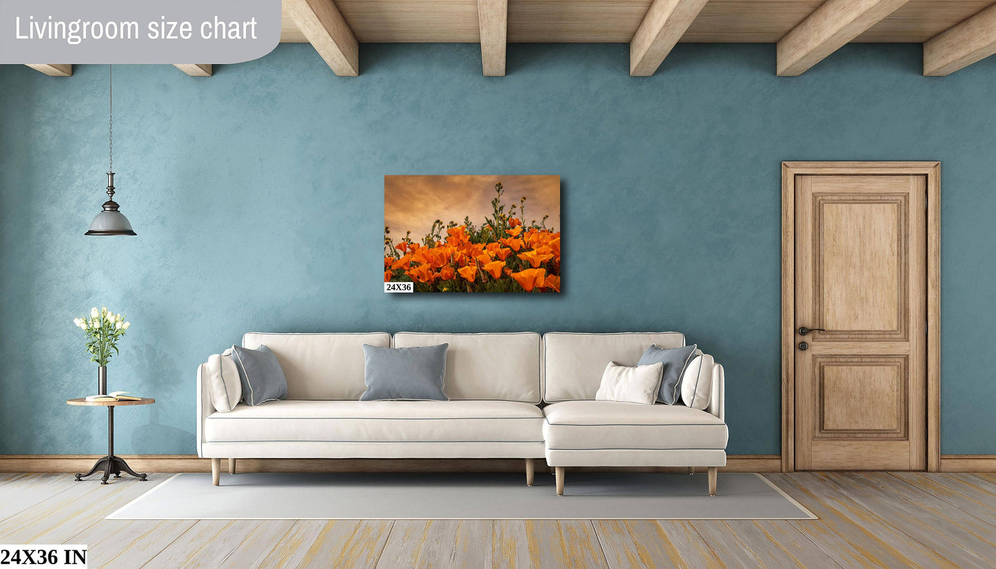 California Poppies Fine Art Photography | Antelope Valley Superbloom Canvas Wall Art | Flower Poster | Nature Picture | Poppy Flower Photo