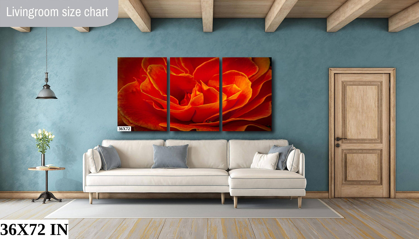 Rose Flower Fine Art Photograph | Cape Town South Africa Red Rose Canvas Wall Art, Kirstenbosch Garden Flower Poster, home, office decor