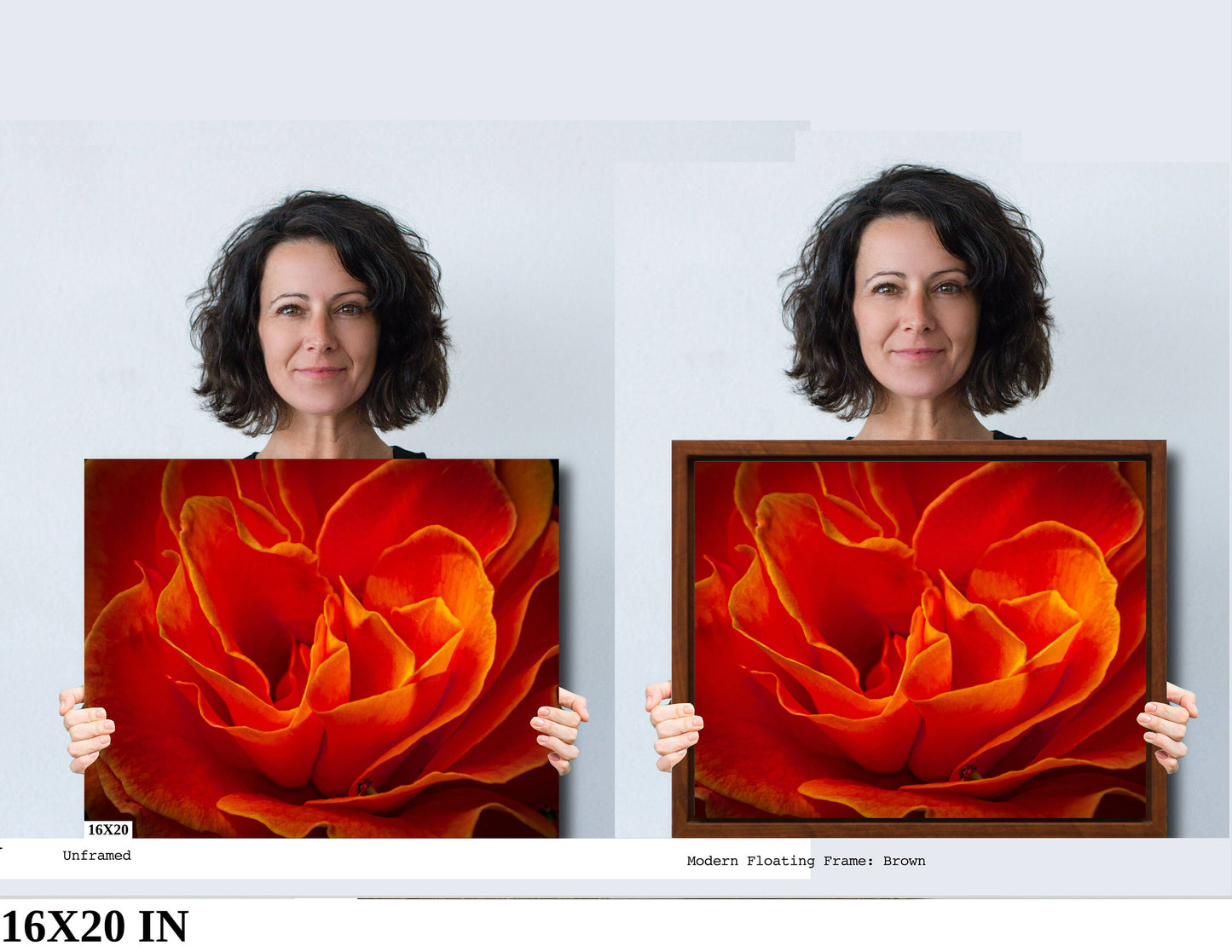 Rose Flower Fine Art Photograph | Cape Town South Africa Red Rose Canvas Wall Art, Kirstenbosch Garden Flower Poster, home, office decor
