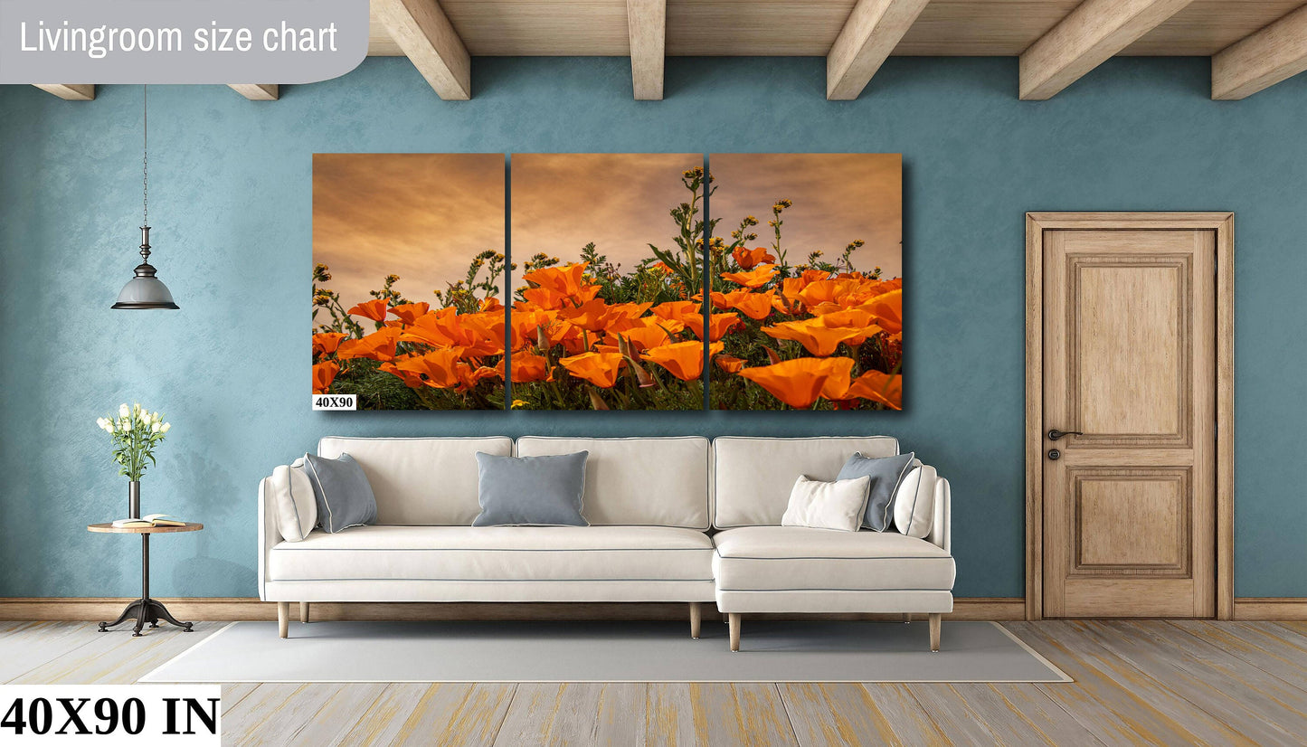 California Poppies Fine Art Photography | Antelope Valley Superbloom Canvas Wall Art | Flower Poster | Nature Picture | Poppy Flower Photo