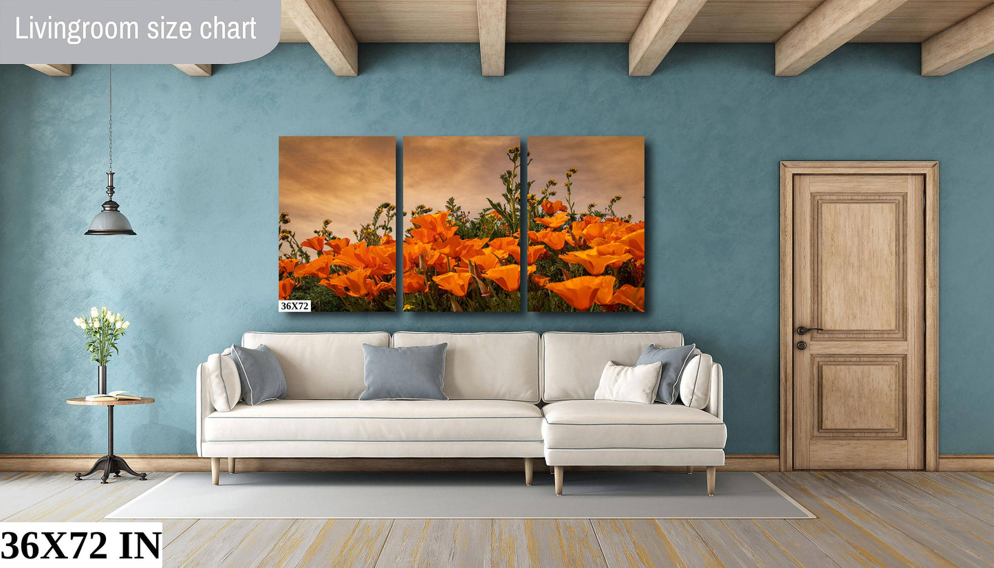 California Poppies Fine Art Photography | Antelope Valley Superbloom Canvas Wall Art | Flower Poster | Nature Picture | Poppy Flower Photo