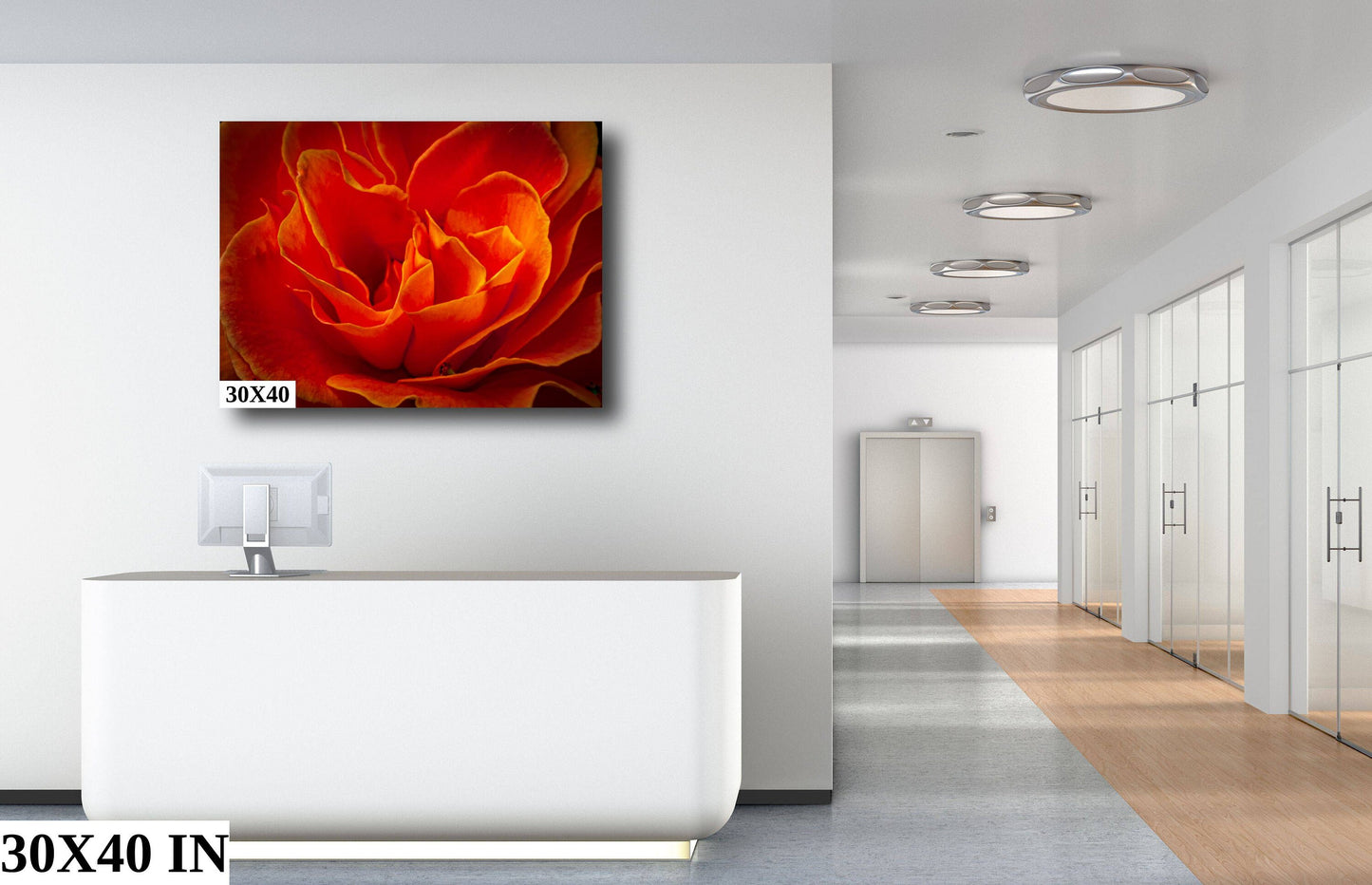 Rose Flower Fine Art Photograph | Cape Town South Africa Red Rose Canvas Wall Art, Kirstenbosch Garden Flower Poster, home, office decor