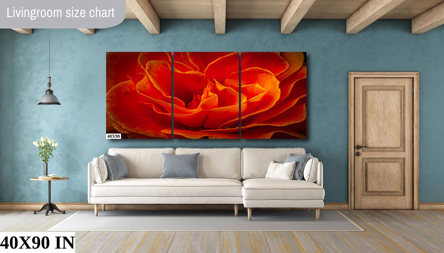 Rose Flower Fine Art Photograph | Cape Town South Africa Red Rose Canvas Wall Art, Kirstenbosch Garden Flower Poster, home, office decor
