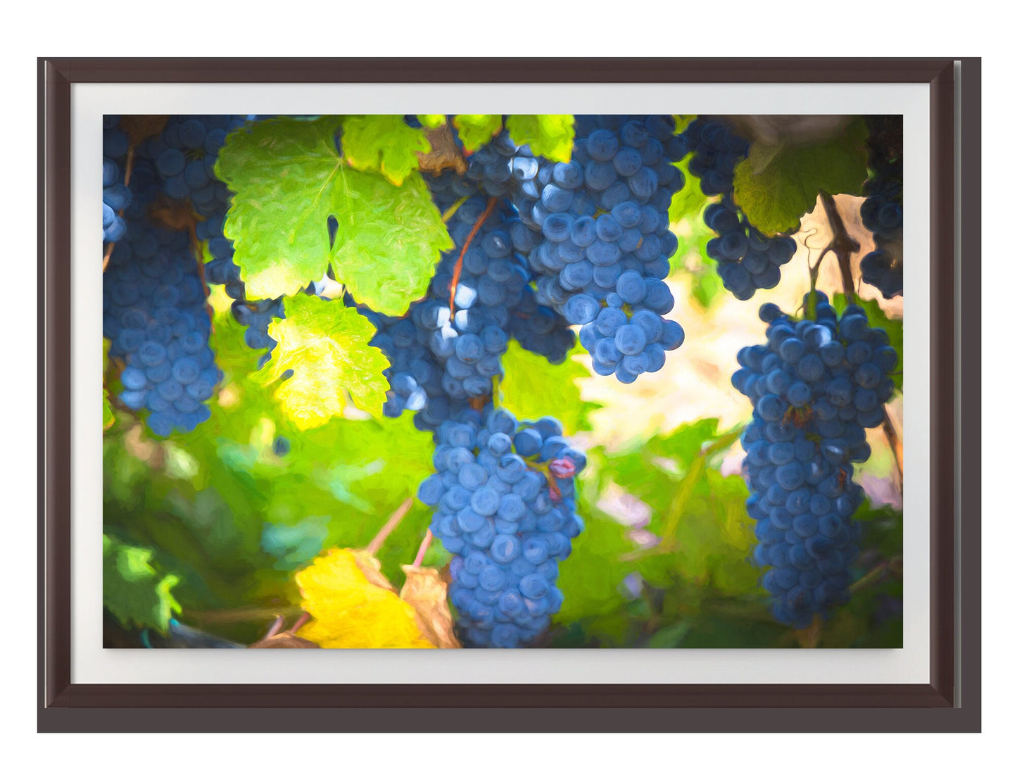 Vineyard Fine Art Photography | California Ripe Wine Grapes Photo | Winery Canvas Wall Art Poster | Vineyard Print, Acrylic, Metal, Paper