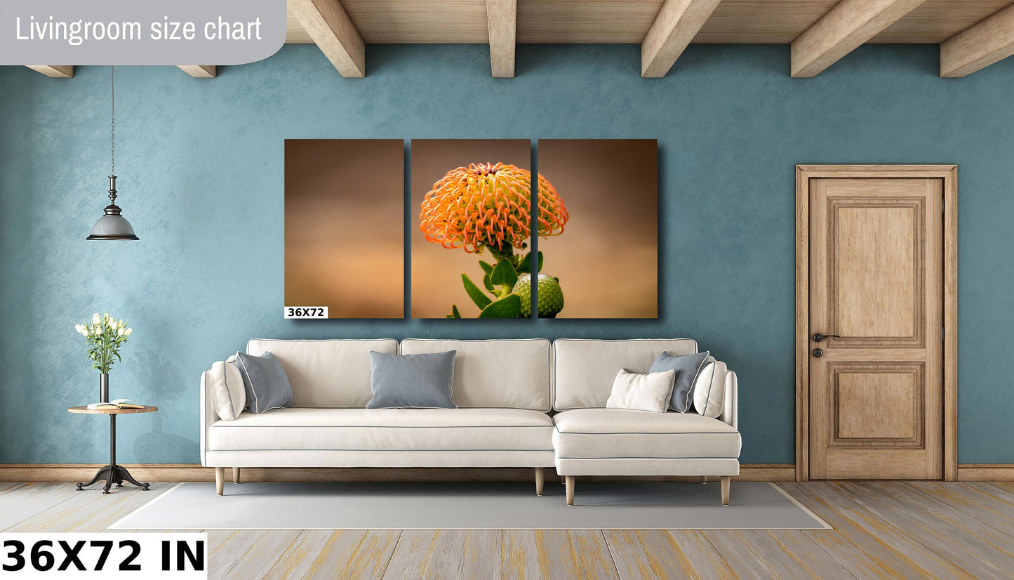 Protea Flame Giant Fine Art photography | Cape Town South Africa Kirstenbosch Garden Canvas Wall Art, home, office decor | flowers