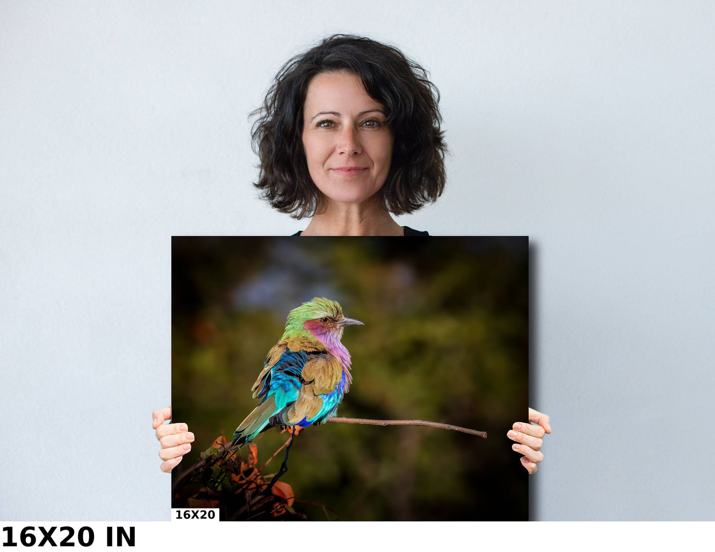 African Birds Poster | Lilac Breasted Roller Nature Print, Canvas Wildlife Wall Art Photo | Fine Art Photography | home, office decor