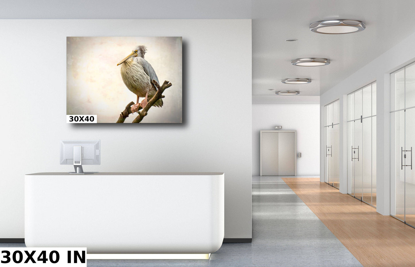 African Birds Fine Art photography | Pelican Nature Print, Serengeti Canvas Wall Art, Wildlife Poster, Bird Picture home, office decor