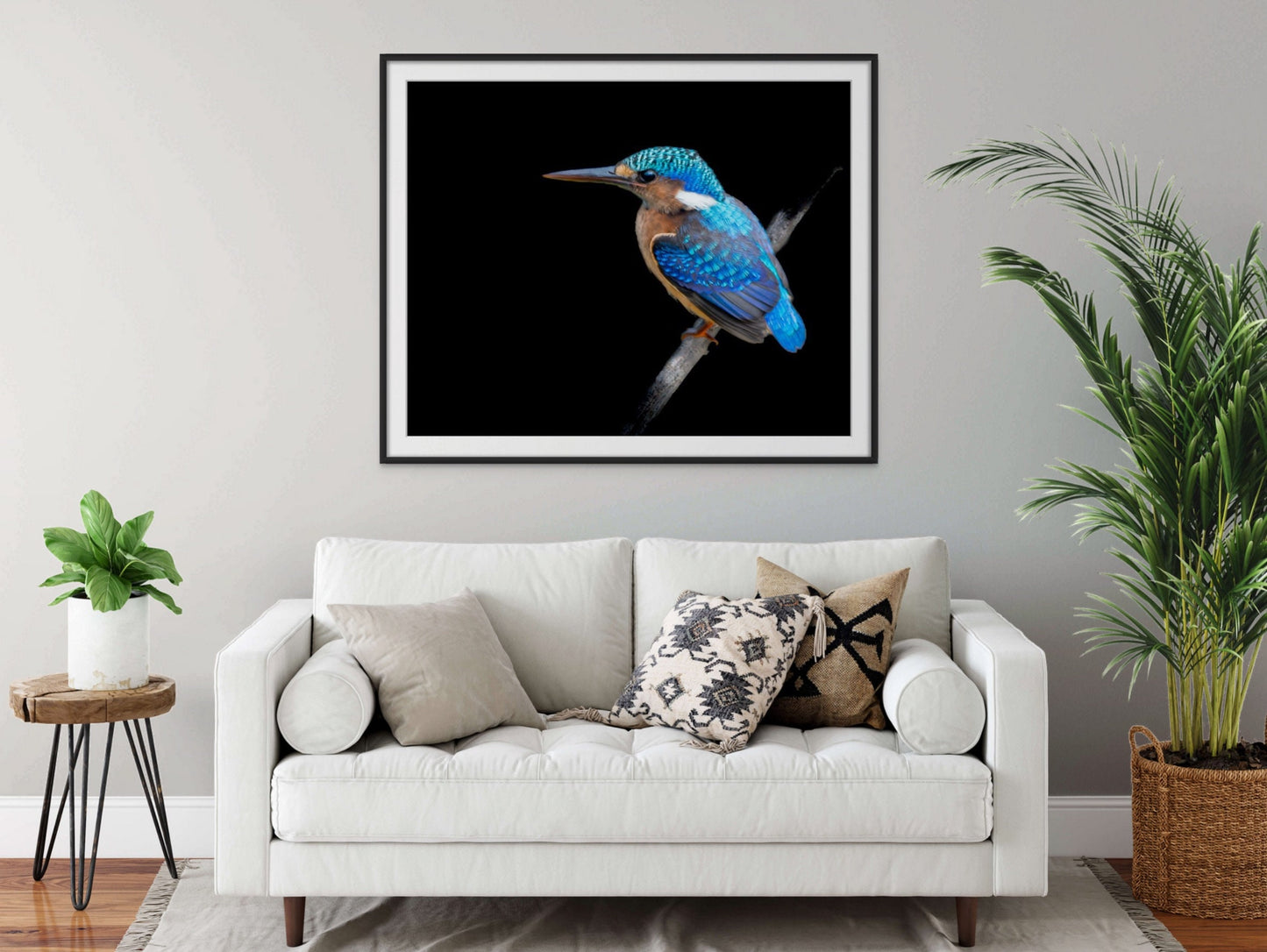 African Birds Poster | Malagasy Kingfisher Nature Print, Canvas Wildlife Wall Art | Fine Art Photography | home, office decor