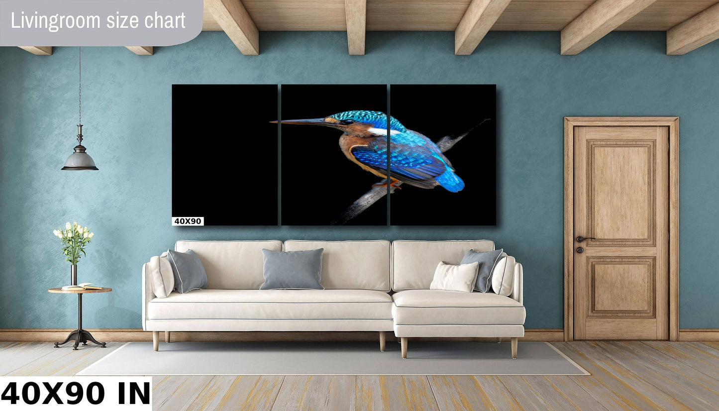 African Birds Poster | Malagasy Kingfisher Nature Print, Canvas Wildlife Wall Art | Fine Art Photography | home, office decor