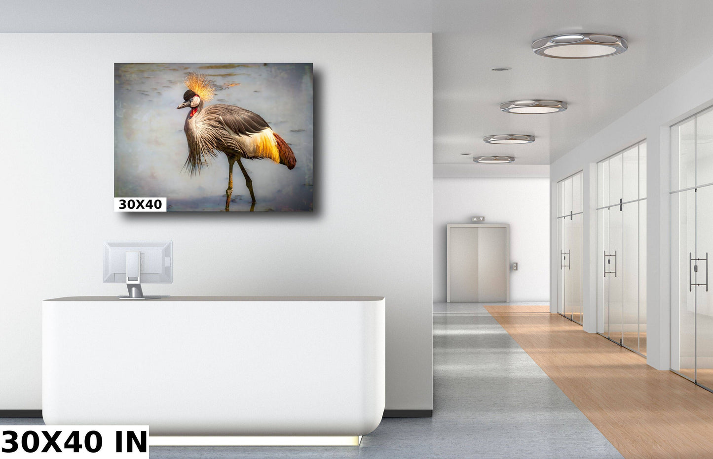 African Birds | Black-Crowned Crane Nature Print, Serengeti Wall Art, Canvas Wildlife Photo | Fine Art photography | home, office decor