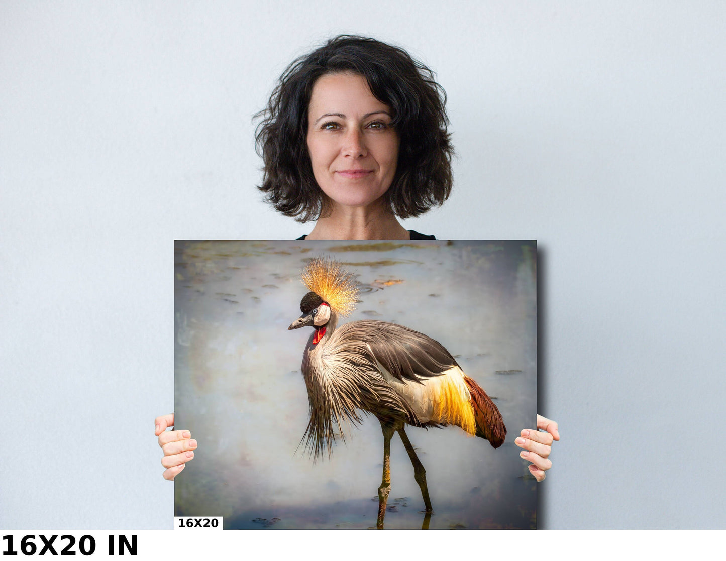 African Birds | Black-Crowned Crane Nature Print, Serengeti Wall Art, Canvas Wildlife Photo | Fine Art photography | home, office decor
