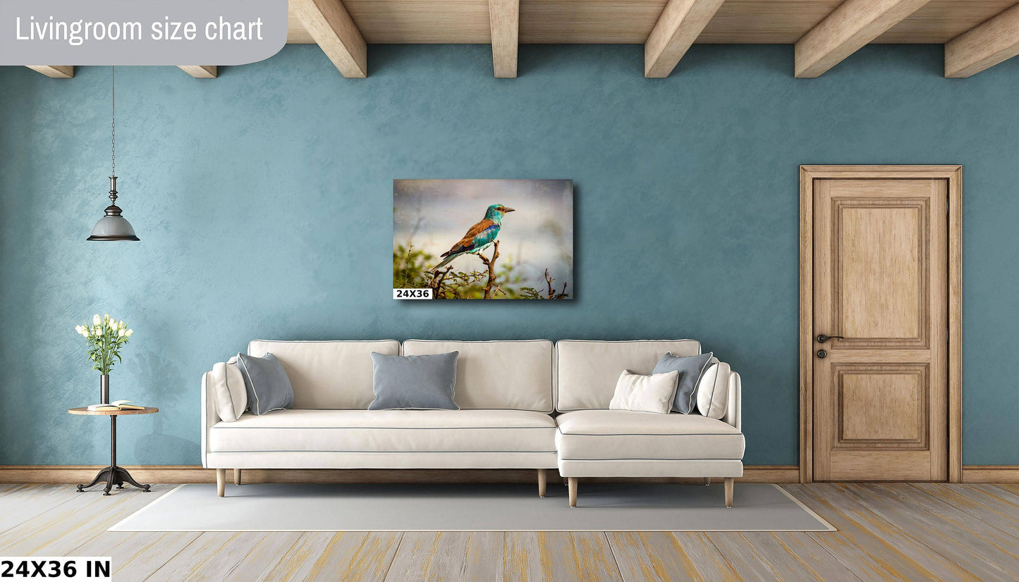 African Birds | Fine Art Photography | Abyssian Roller Nature Print, Africa Bird Wall Art, Canvas Wildlife Poster | home, office decor