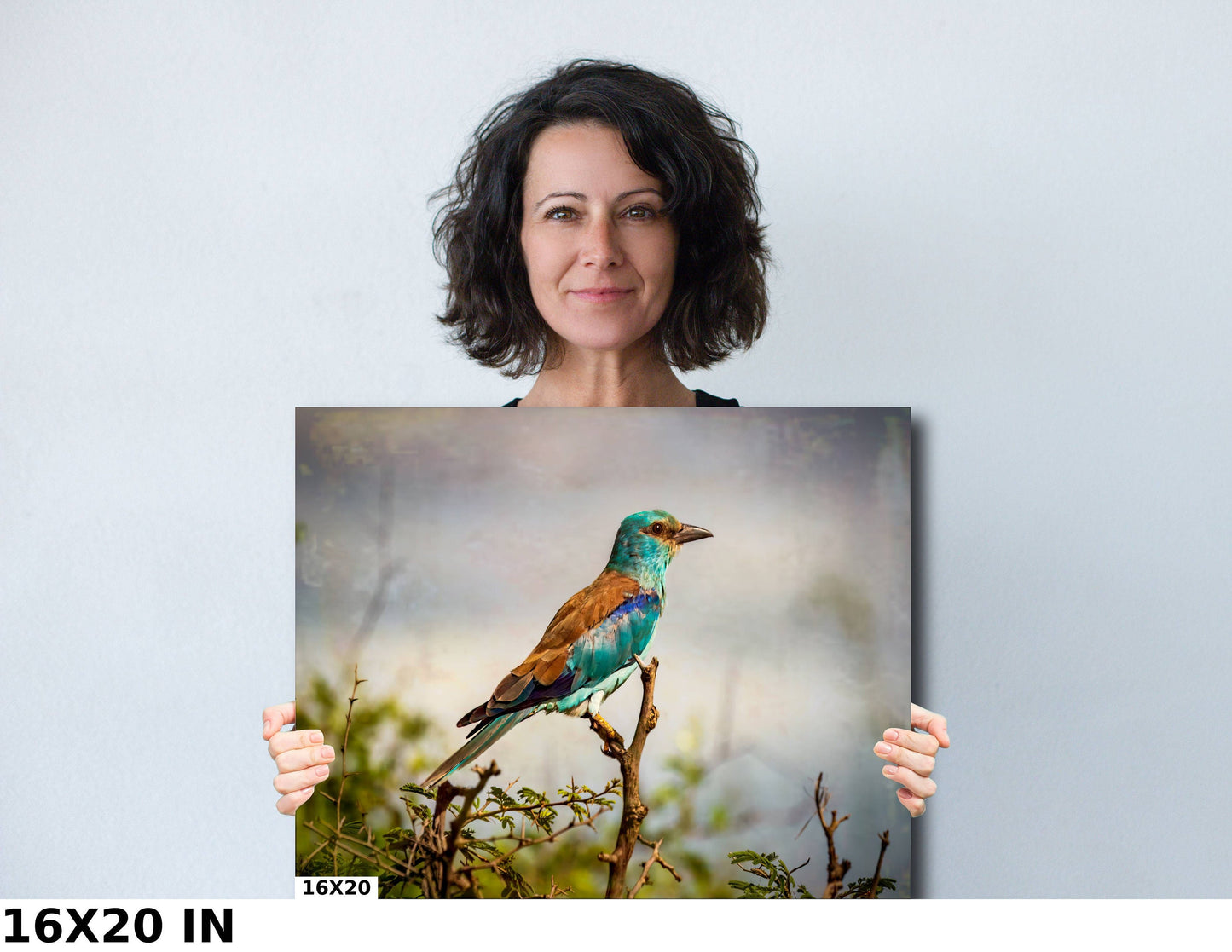 African Birds | Fine Art Photography | Abyssian Roller Nature Print, Africa Bird Wall Art, Canvas Wildlife Poster | home, office decor