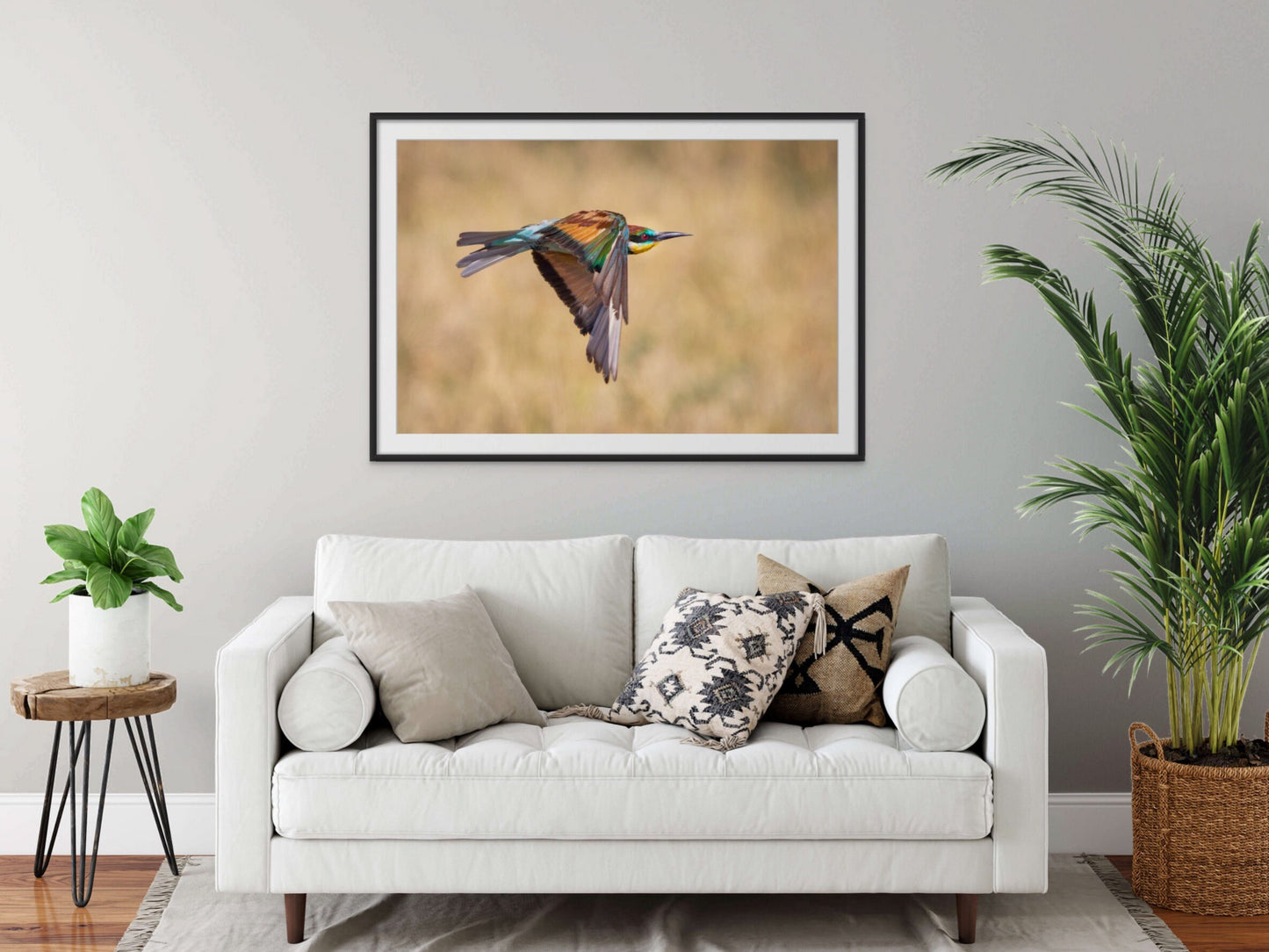 African Bird in Flight Photo | European Roller Fine Art Photography, Nature Canvas Wall Art, Wildlife Poster | | Print home, office decor