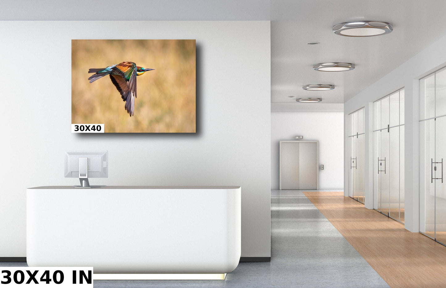 African Bird in Flight Photo | European Roller Fine Art Photography, Nature Canvas Wall Art, Wildlife Poster | | Print home, office decor