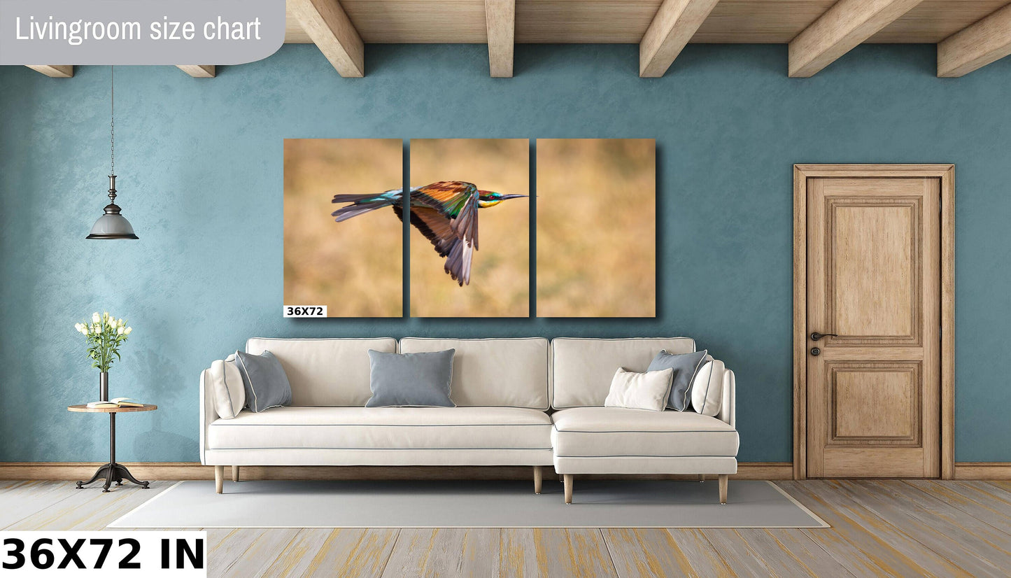 African Bird in Flight Photo | European Roller Fine Art Photography, Nature Canvas Wall Art, Wildlife Poster | | Print home, office decor